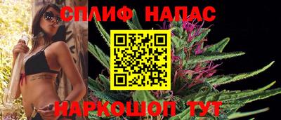 spice Кингисепп