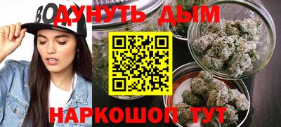 spice Кингисепп