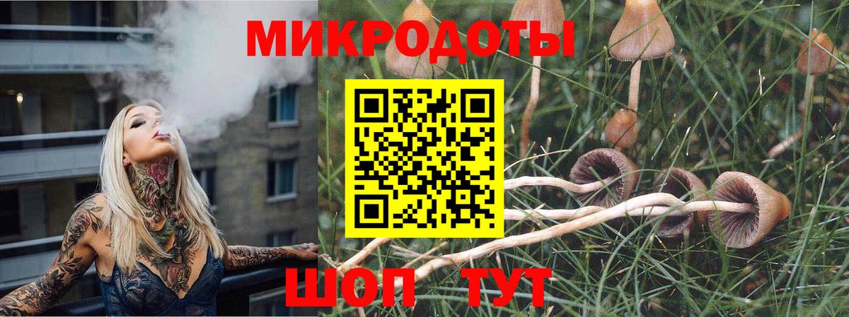 Псилоцибиновые грибы прущие грибы  Вход с VPN  Новосибирск  наркотики  Галлюциногенные грибы Psilocybe 