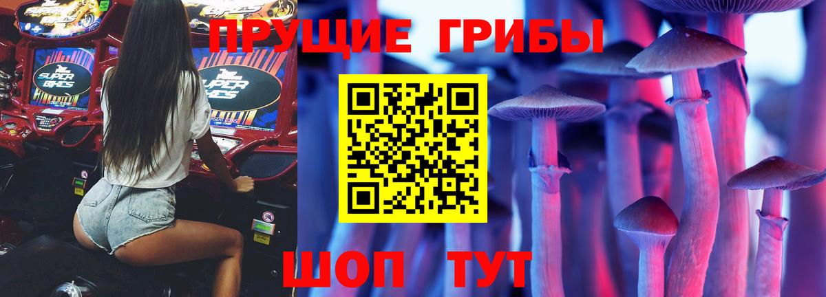 Псилоцибиновые грибы GOLDEN TEACHER Новосибирск