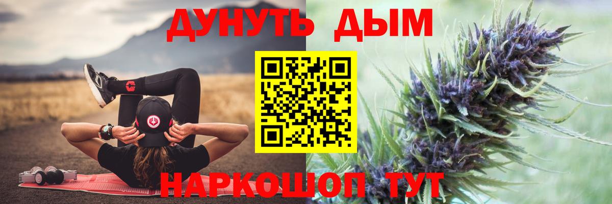Новосибирск  Канабис тримм  Бошки Шишки план  Марихуана Amnesia  Шишки марихуана ГИДРОПОН  Вход с VPN 